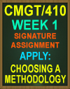 CMGT/410 WEEK 1 Choosing a Methodology